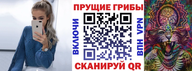 Галлюциногенные грибы Psilocybe  дарнет шоп  Нижний Ломов 